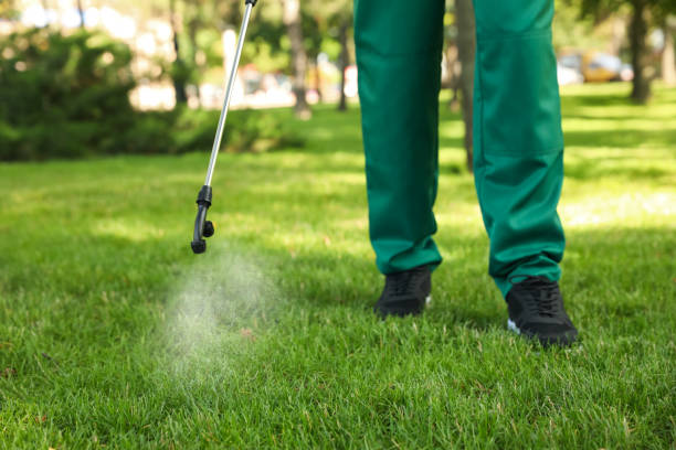 Best Best Pest Control Companies  in Firthcliffe, NY