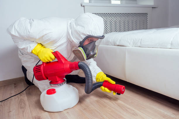 Best Pest Prevention Services  in Firthcliffe, NY
