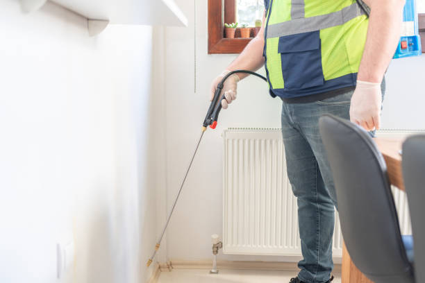 Best Affordable Pest Control Services  in Firthcliffe, NY