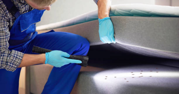 Best Rat Extermination Near Me  in Firthcliffe, NY