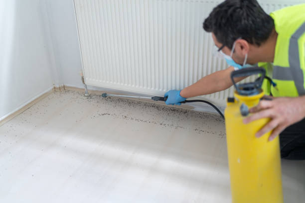Best Bed Bug Extermination  in Firthcliffe, NY